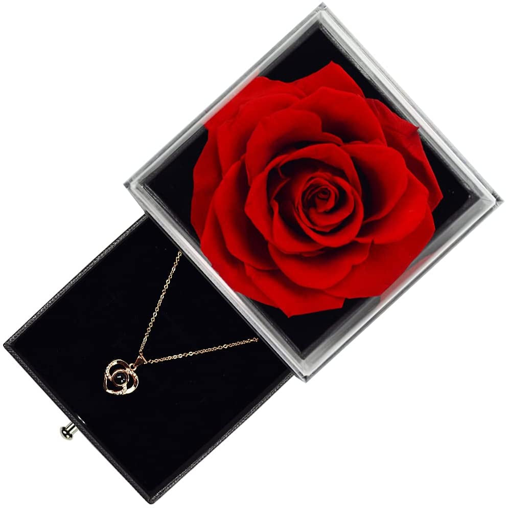 preserved rose with necklace that says "i love you" in 100 languages